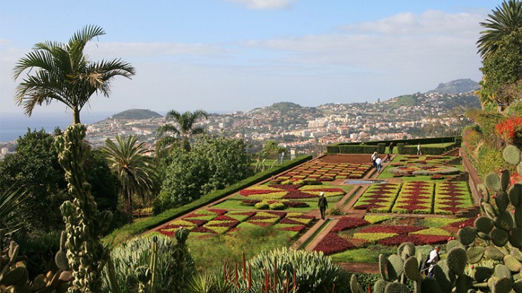 Springtime in the Sub-Tropical Azores Image 4