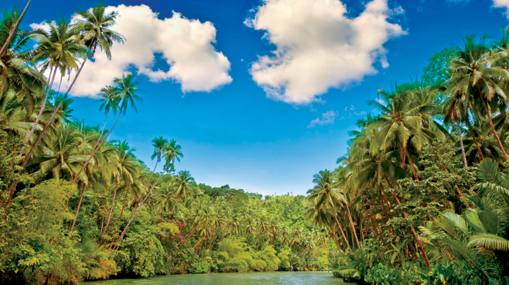 Amazon, West Indies & The Azores Image 1