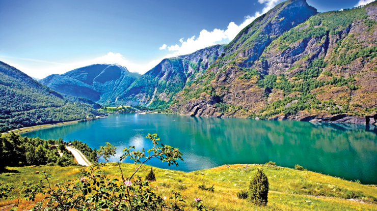 Springtime Fjordland Image 1