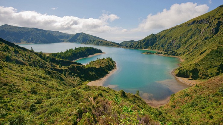 Springtime in the Sub-Tropical Azores Image 1