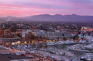 Treasures of the Sea of Cortez