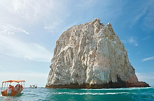 Treasures of the Sea of Cortez