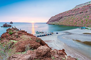 Treasures of the Sea of Cortez