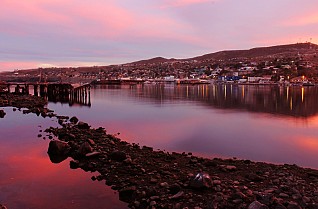 Treasures of the Sea of Cortez