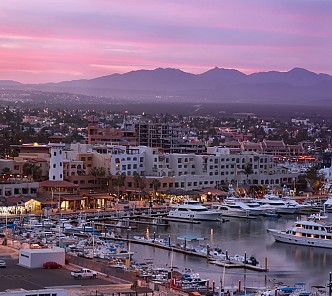 Treasures of the Sea of Cortez